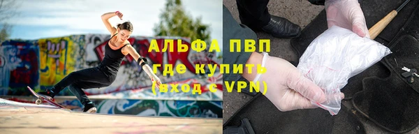прущие грибы Майский