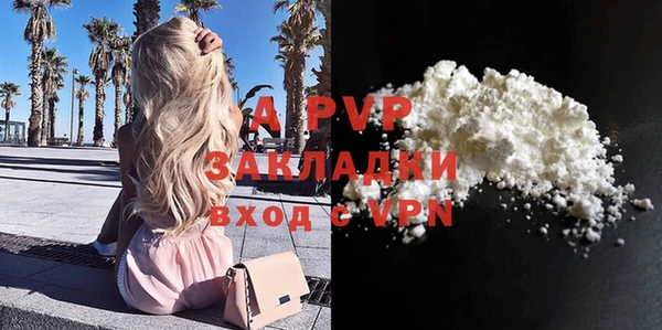 прущие грибы Майский