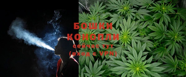 МДПВ Магас